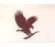 FOREVER LIVING PRODUCTS SLOVAK REPUBLIC